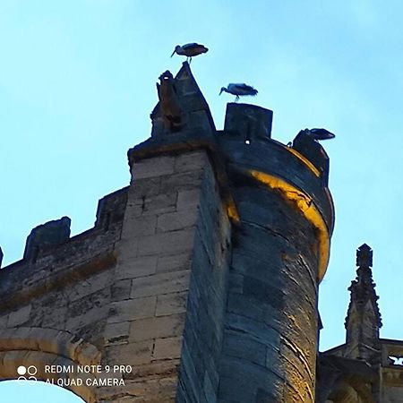 Ferienwohnung Logis Corneille I Narbonne Exterior foto