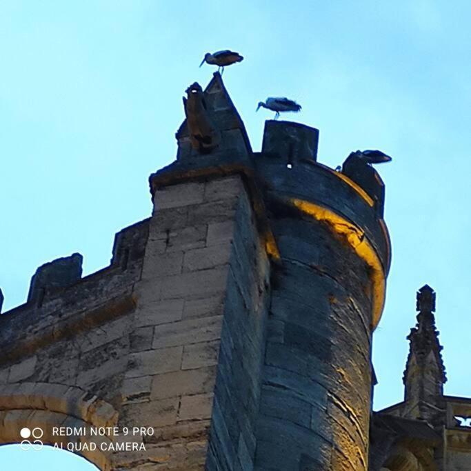 Ferienwohnung Logis Corneille I Narbonne Exterior foto